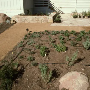 SBBG Home Demonstration Garden construction