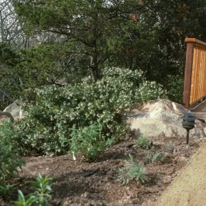 SBBG Home Demonstration Garden construction