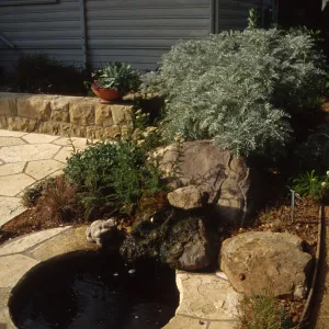 Home Demonstration Garden Construction, Pond