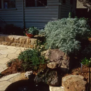 Home Demonstration Garden Construction; Pond