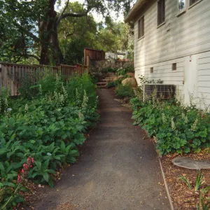 Home Demonstration Garden Construction