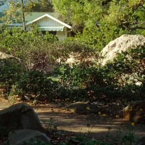 Home Demonstration Garden Construction (Manzanita)
