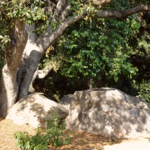 Home Demonstration Garden 