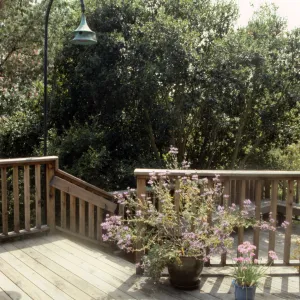 Home Demonstration Garden