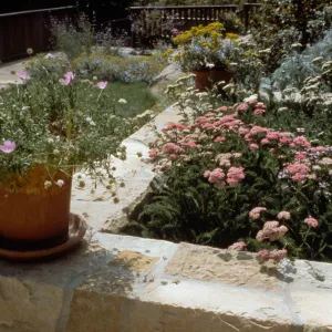 Home Demonstration Garden 