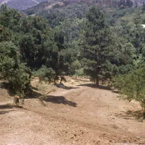 clearing the new Island Section