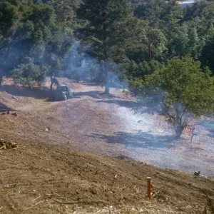 Island section cleared, final cleanup