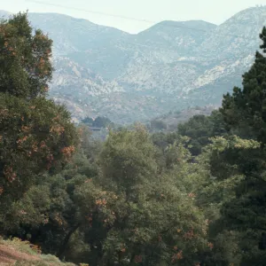 new Island Section, 1968