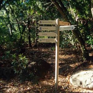Garden Directional Signage