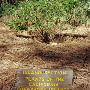 Signage for Island Section
