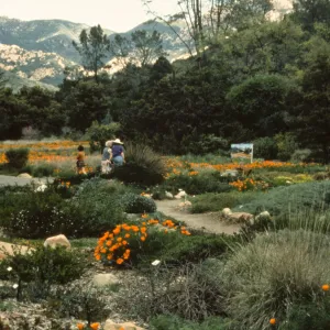 visitors and painting easel in the Meadow