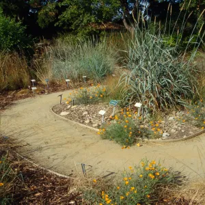 Meadow grass display