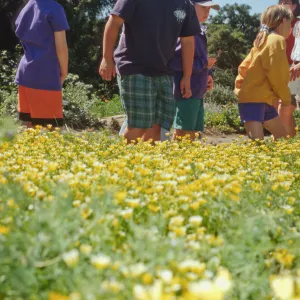 Children in the Meadow