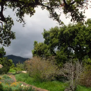 view of Meadow from entrance oak