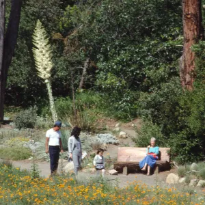 Meadow, with bench & people