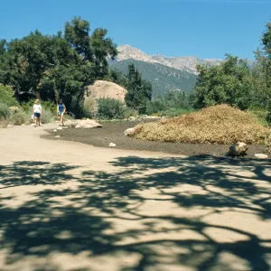 Meadow revitalization, lower Meadow cleared of vegetation, from entrance oak, looking north