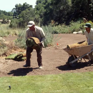 new Meadow lawn Installation