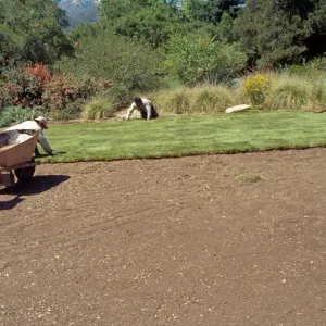 new Meadow Lawn installation