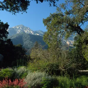 mountain view from the entrance oak, at the foot of the Meadow