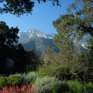mountain view from the entrance oak, at the foot of the Meadow