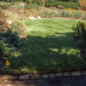 Lawn, upper entrance at western edge of Meadow
