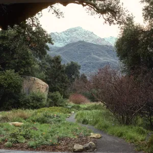 Meadow, snow on La Cumbre Peak