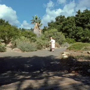 visitors at the Desert Section and base of Meadow, looking northwest