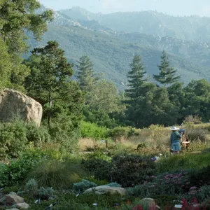 artist painting in the Meadow