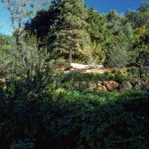 Meadow View, Conn Garden