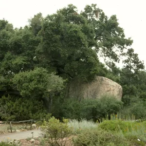 Blaksley Boulder