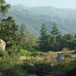 artist painting in the Meadow