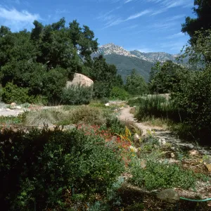 Meadow, view to Arlington Peak