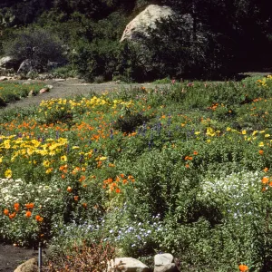 lower Meadow, view to the Blaksley Boulder