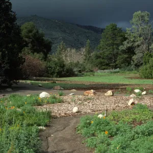 Meadow with grey storm clouds on the mountains