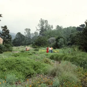 lower Meadow with visitors