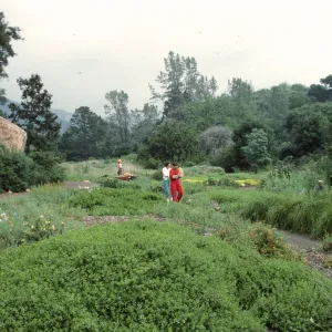 lower Meadow with visitors