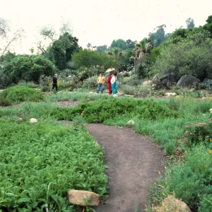 visitors along the lower Meadowpath, looking south to Desert Section 