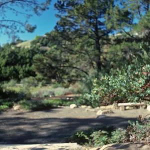 Conn Garden, Meadow View