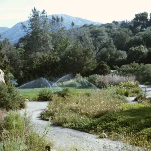 Meadow with overhead sprinklers, view to northeast from the Desert Section