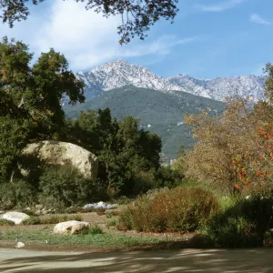 view of the Meadow with Blaksley Boulder from the entrance oak