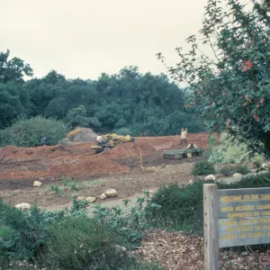 Meadow Renovation, 1979