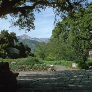 Meadow and mountain view from the entrance oak (Coastal Live Oak), foot path entrance at lower Meadow by Entrance Kiosk