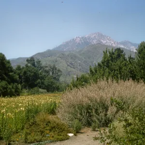 Meadow Section with view of LaCumbre Peak