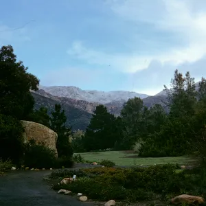 Meadow with snow on Santa Ynez mountains
