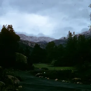 Early morning at garden, meadow, snow on Santa Ynez mountain range