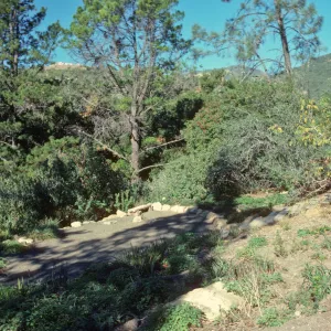 Conn Garden at top of Meadow