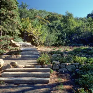 Conn Garden
