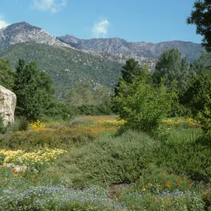 SBBG Meadow with view to the mountains