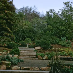 Historic Home Garden, Upper Meadow, Meadow View