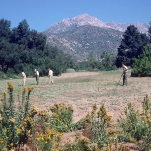 SBBG Meadow 